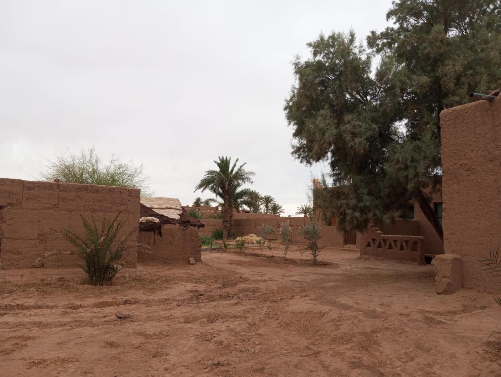 La Maison-Berbere Mhamid M'Hamid Kültér fotó
