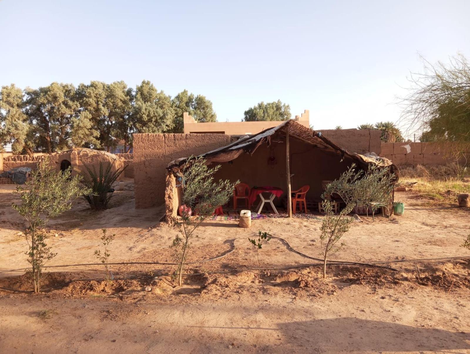 La Maison-Berbere Mhamid M'Hamid Kültér fotó