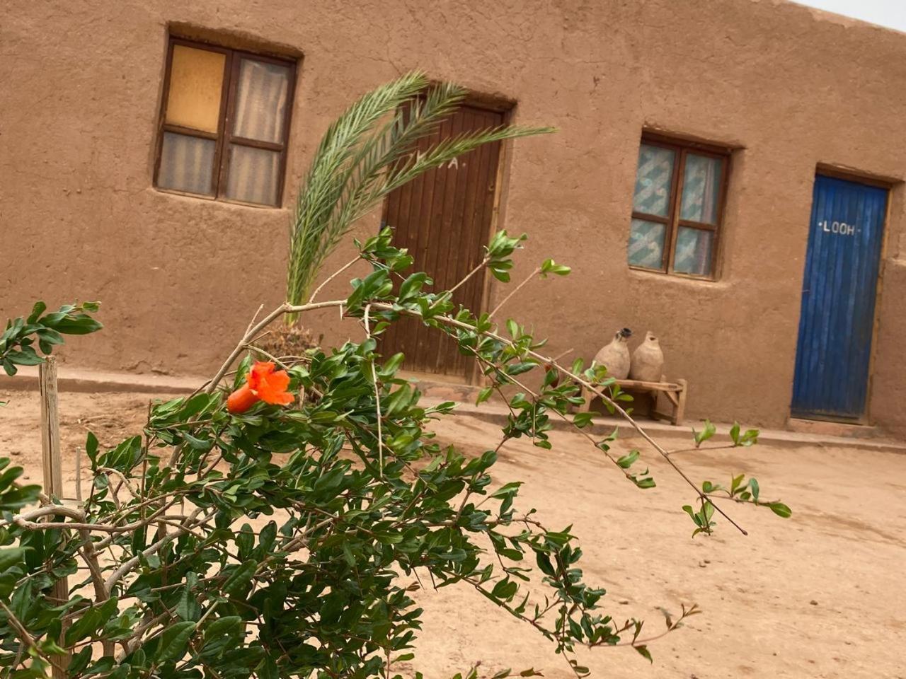 La Maison-Berbere Mhamid M'Hamid Kültér fotó